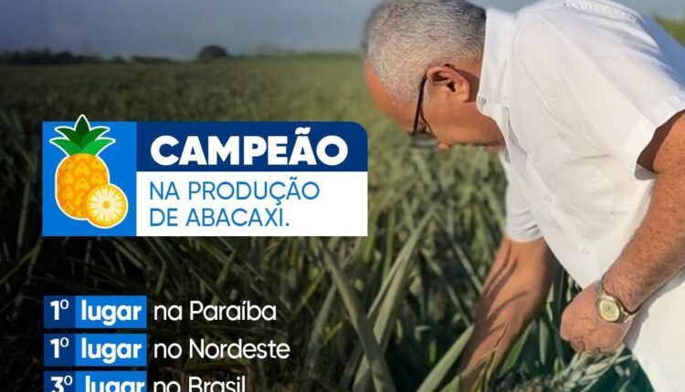 Pedras de Fogo é o maior produtor de abacaxi do Nordeste e o 3º do Brasil