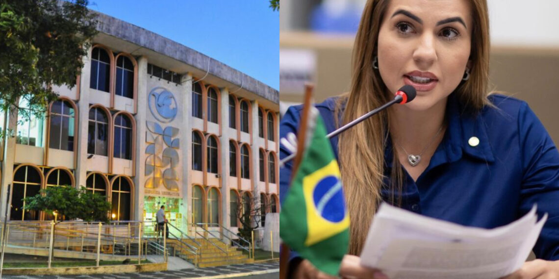 Deputada do Amazonas copia projeto da Paraíba e esquece de trocar hino e bandeira