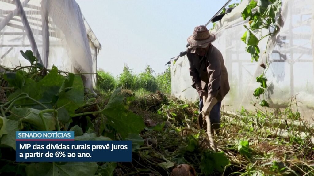 Entenda a MP das dívidas rurais — Senado Notícias