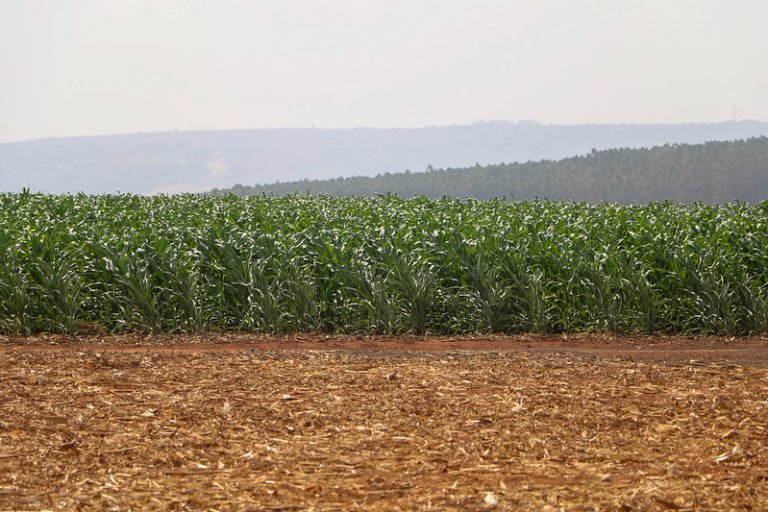Retrospectiva: deputados aprovaram incentivos para a indústria nacional de fertilizantes – Notícias Retrospectiva: deputados aprovaram incentivos para a indústria nacional de fertilizantes – Notícias